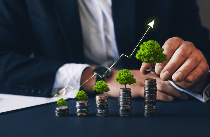 Investment (2)